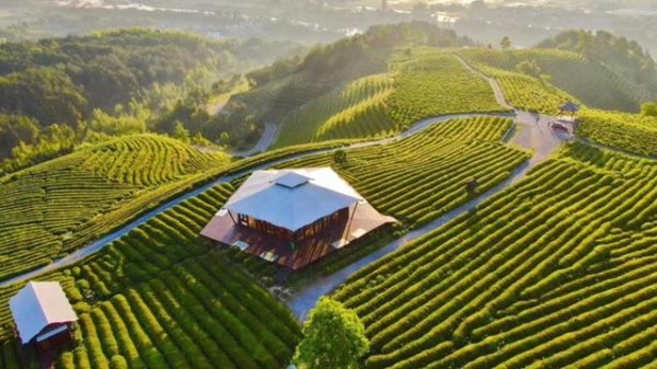 银川股票配资 当艺术走入皖南村落，书写了怎样的新风景？