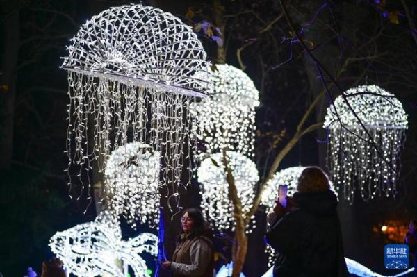 深圳股票配资论坛 波兰华沙：“魔法植物园”灯光展开幕